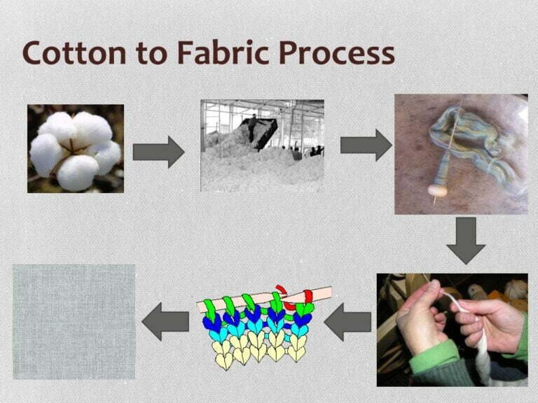 Introduction & Processing of Cotton fibre